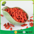 conventional goji berry dried